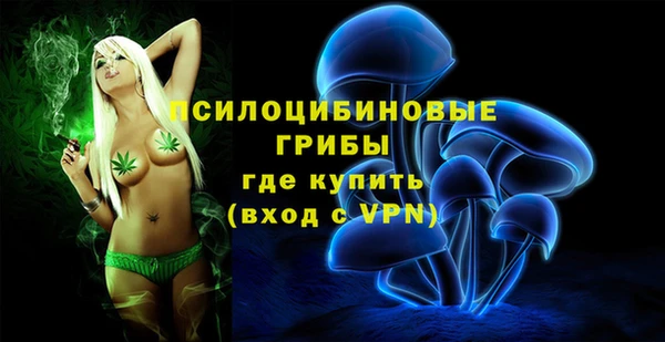 кокс Медвежьегорск