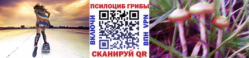 Галлюциногенные грибы Magic Shrooms  наркотики  Липецк 