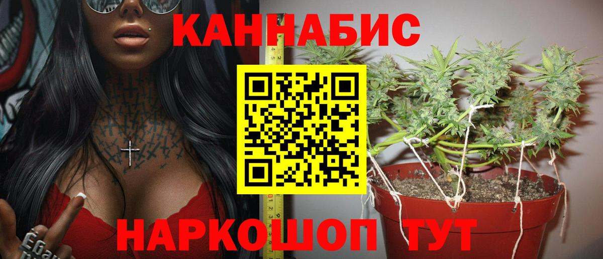 Конопля Ganja  Каннабис сатива  Конопля ГИДРОПОН  Вход с VPN  Каннабис THC 21%  Липецк 
